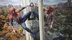 اکانت قانونی Spider-Man: Miles Morales Ultimate Edition برای PS5 و PS4